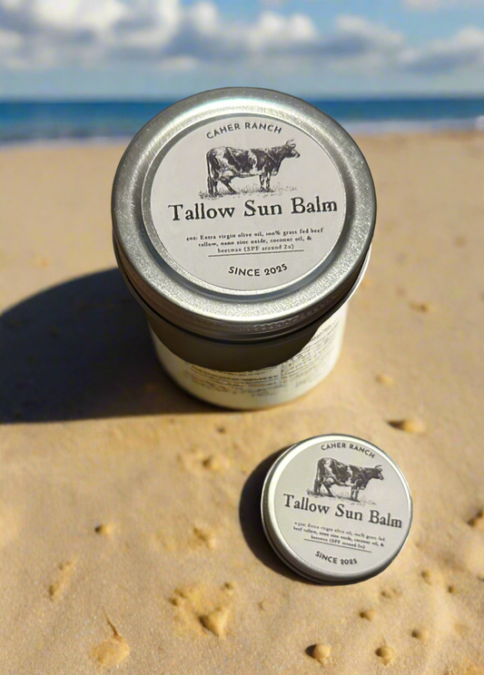 Tallow Sun Balm